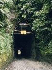 Mt Taranaki Trail on Ngatoro Walk.JPG (61 KB)